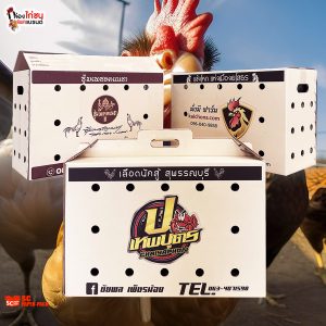 ข่าววิถีชุมชนคนรักไก่ชน”เมื่อกล่องไม้ธรรมดา กลายเป็นสินค้าสร้างฝัน”