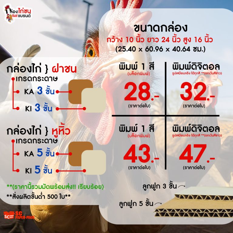 “กระแสใหม่วงการไก่ชนไทย กล่องใส่ไก่ดีไซน์ล้ำ ราคาย่อมเยา ตอบโจทย์คนรักไก่ยุคใหม่”